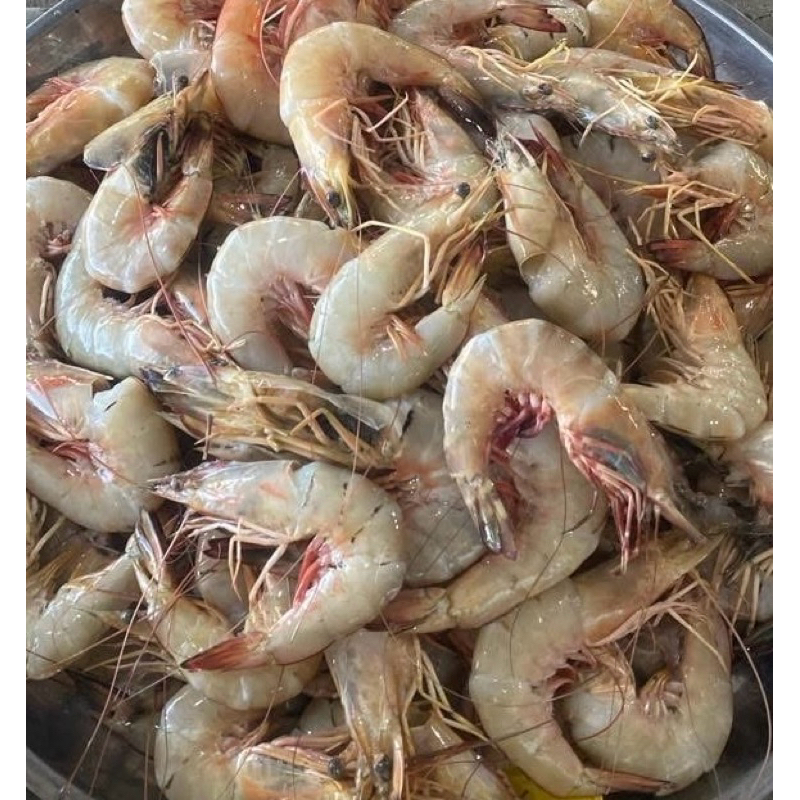 รวมกุ้งทะเล กุ้งแชบ๊วย กุ้งแม่หวัด กุ้งลายเสือ แกะเปลือก 25-30 ตัวโล
