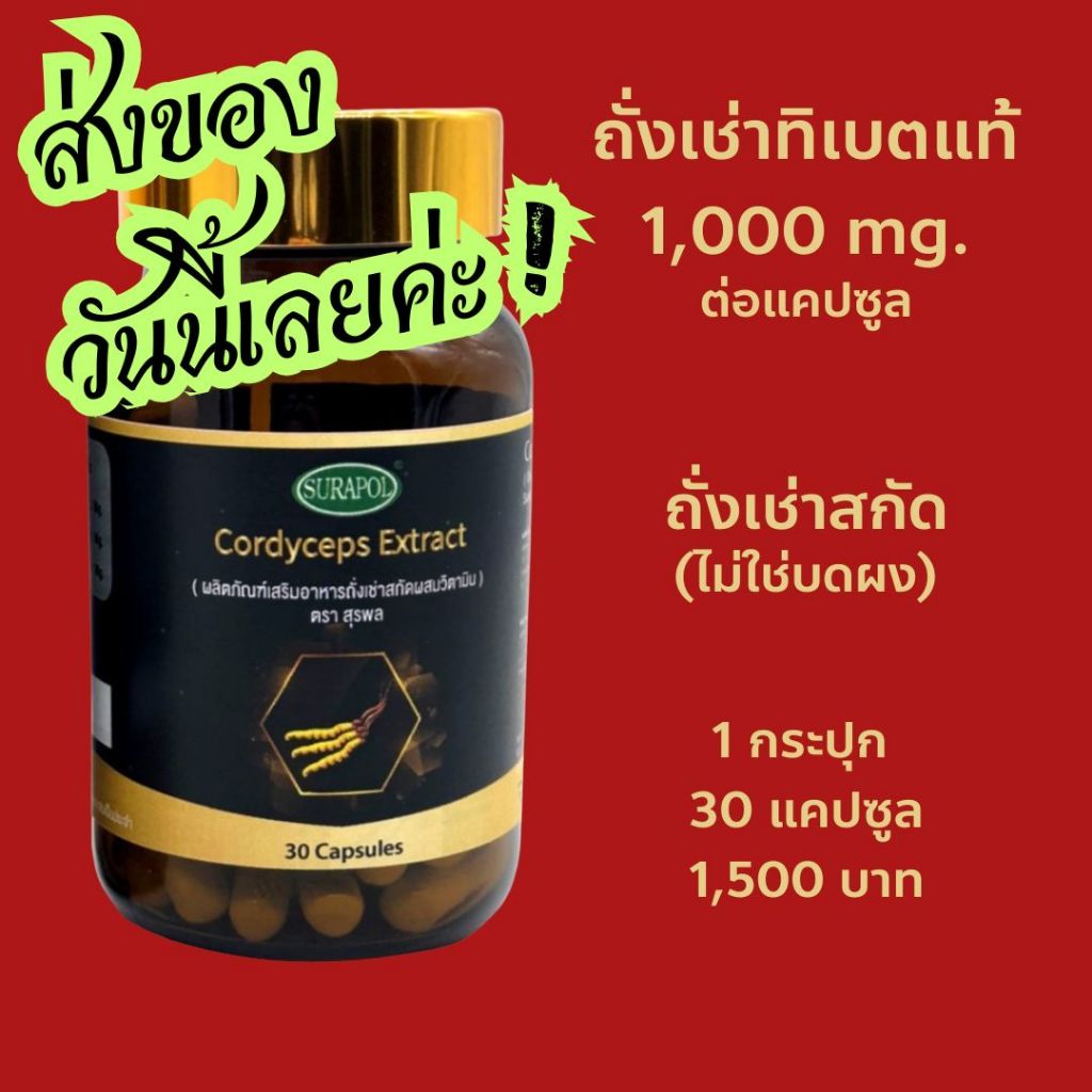 ถั่งเช่าทิเบตแท้ (30 แคปซูล) ปริมาณถั่งเช่า 1000 mg.ต่อแคปซูล มากสุดในตลาด ถั่งเช่าสกัดเข้มข้น