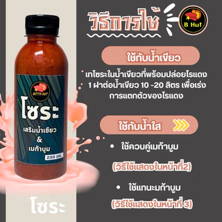 โซระ เสริมการแตกตัวของไรแดงในน้ำเขียวและน้ำใส
