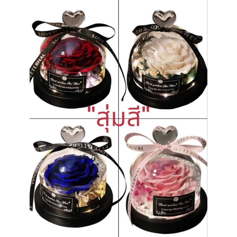 (สุ่มสี)(มีไฟ)กุหลาบเพื่อความรักชั่วนิรันดร์,Rose of love Gift Glass Cover Rose Eternal,For Love