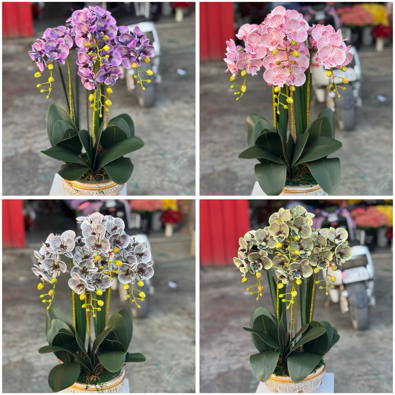 กระถางกล้วยไม้งานยางpu #พรีเมี่ยม #กระถางคละสี