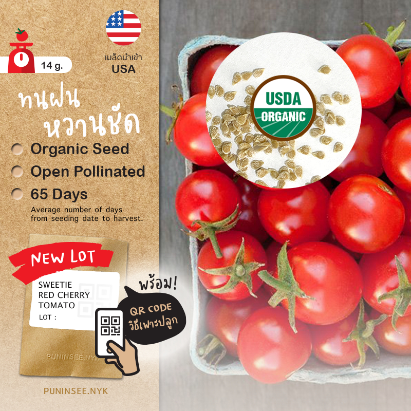 เมล็ดผักนำเข้า มะเขือเทศเชอรี่สีแดง Sweetie Red Cherry Tomato (Organic Seed) ทรงกลม ทนฝน หวานชัด