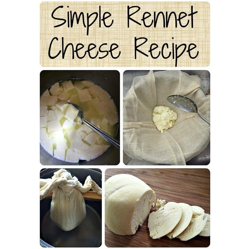 จุลินทรีย์ Rennet 100 gr / Süper maya Turkey ( 1 ช้อนชา : นม 5 Lt ) - รูปที่ 6