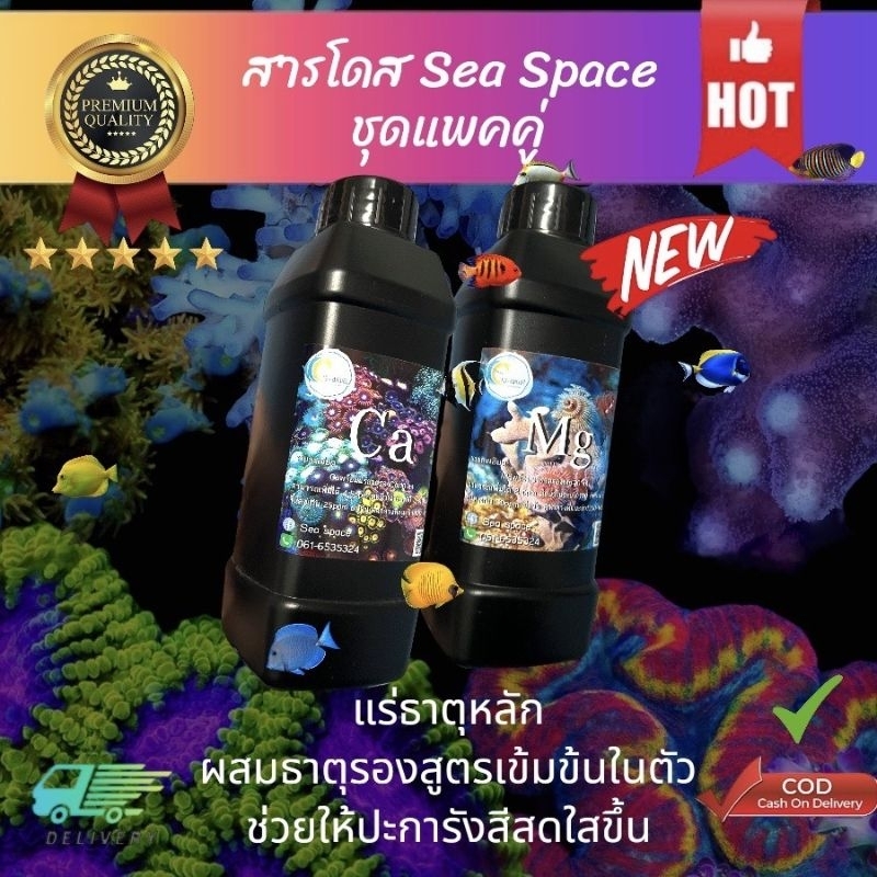 Ca,mg ขวด500ml แพคคู่ 280 บาท