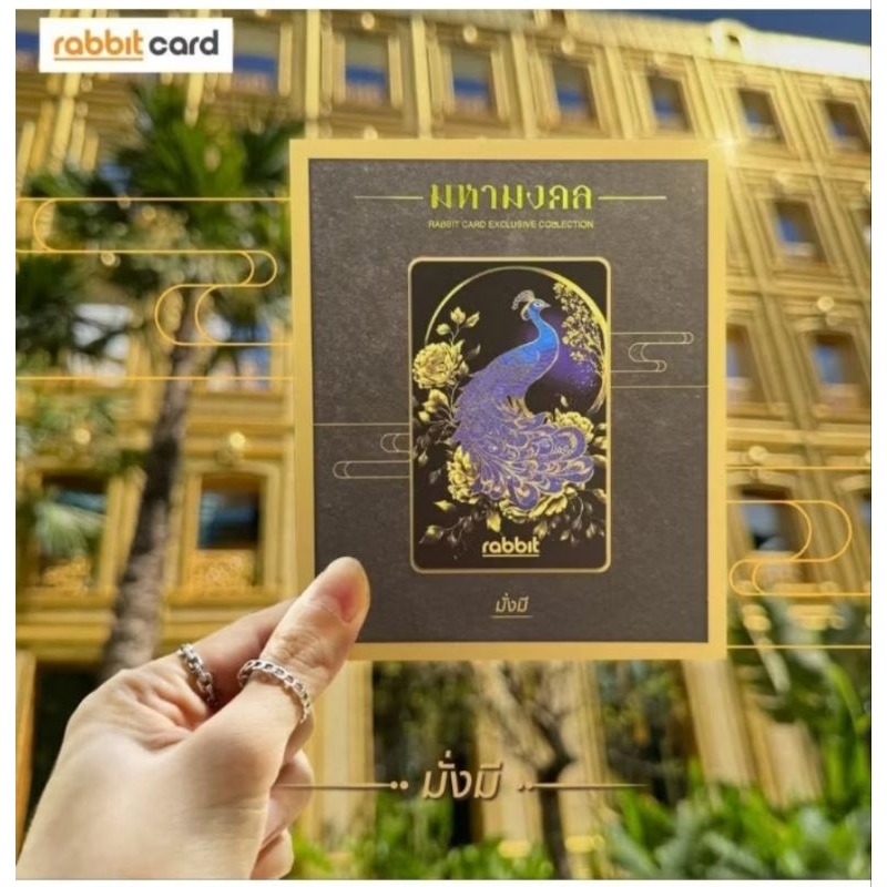 รูปภาพ 3