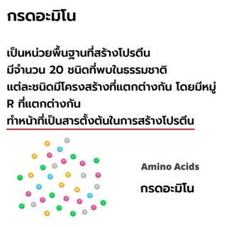 Amino Vit-D อะมิโนวิตดี กรดอะมิโนสกัดจากพืช 1 กล่อง บรรจุ 30 ซอง