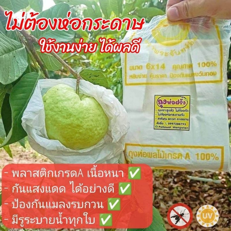 ถุงห่อฝรั่ง ขนาด6×14 เกรดA ป้องกันแสงแดด และแมลง