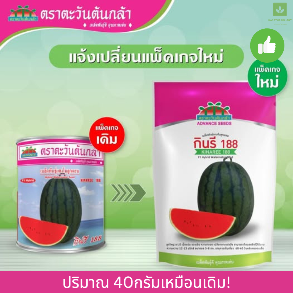 กินรี 188 เมล็ดพันธุ์แตงโม 40กรัม ตราตะวันต้นกล้า แตงโมกินรี กินรี188