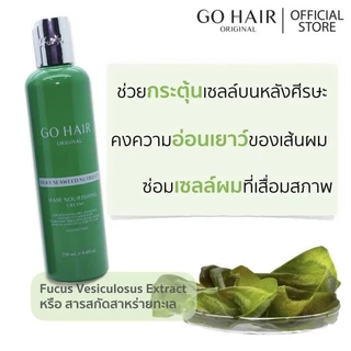 ซิลกี้สาหร่ายทะเล Go Hair Silky Seaweed Nutrients ฟื้นฟูเส้นผม ที่แห้งเสีย แตกปลาย