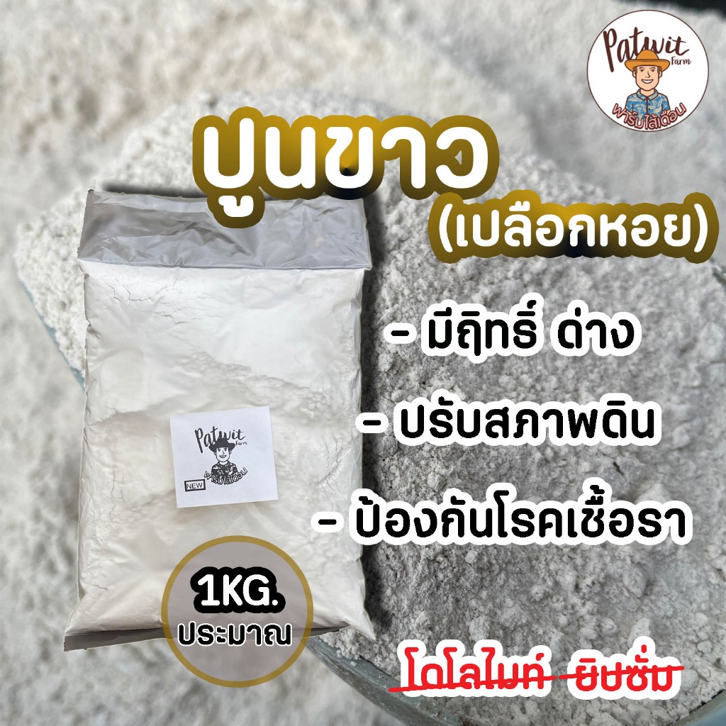 (2ถุง50)(ส่งฟรีทักแชท)ปูนขาว ปูนเปลือกหอย ขนาดประมาณ 1KG. แก้ดินกรด ดินเปรี้ยว ป้องกันเชื้อราทางดิน ผสมดินปลูก ไล่มด