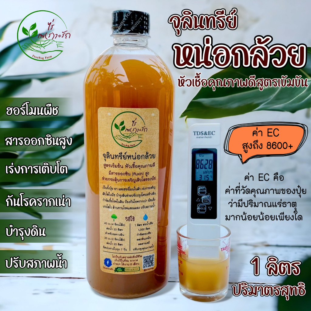 จุลินทรีย์หน่อกล้วย หัวเชื้อขยายได้ สูตรเข้มข้น คุณภาพดี 1 ลิตร ฮอร์โมนพืช บำรุงพืช ดินน้ำ ดับกลิ่นเหม็นคอกสัตว์ ย่อยฟาง