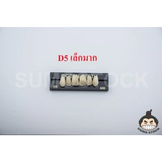 โมเดล นก หน้า กราม แผงย่อย สีมาตรฐานคนไทย สำหรับงานศิลปะ สำหรับปั้นหุ่นขี้ผึ้ง