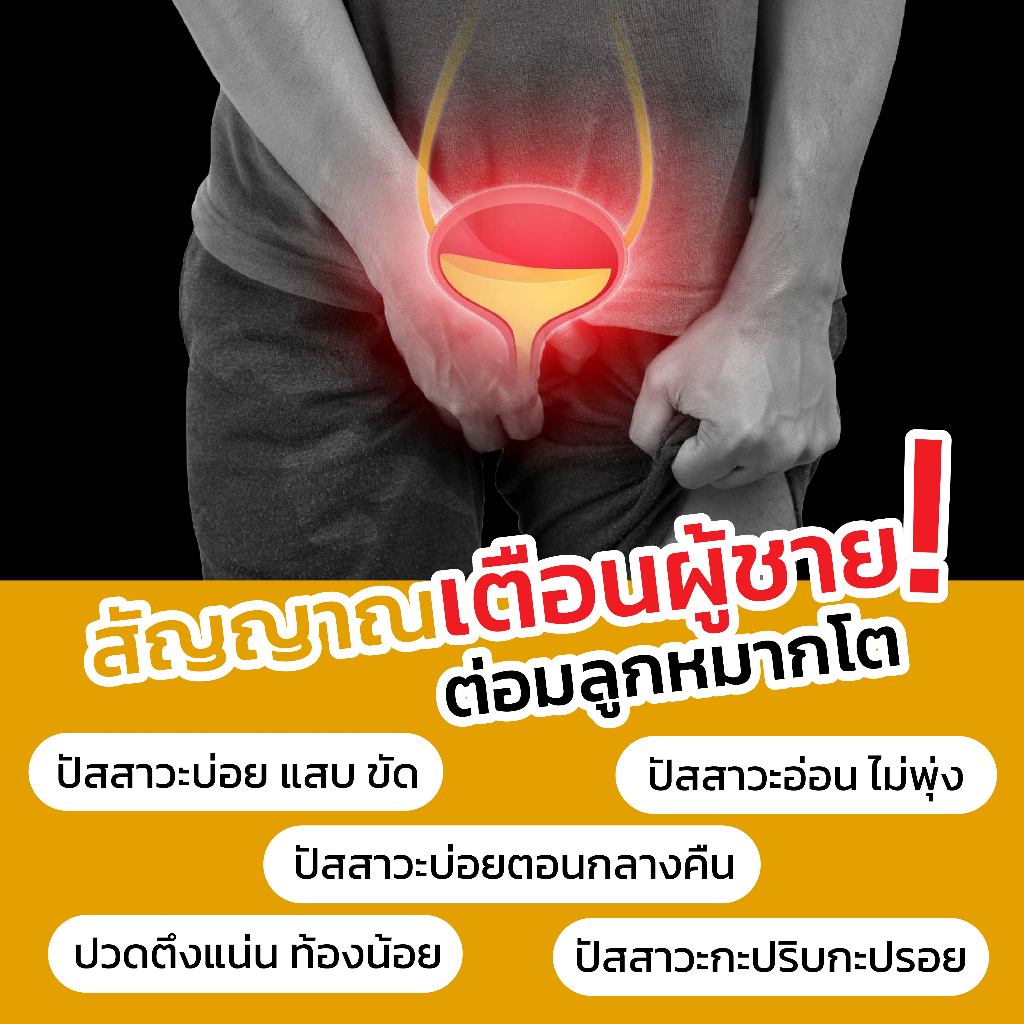 NEW Mplus ผลิตภัณฑ์เสริมอาหารท่านชาย จำนวน 6 กล่อง (120 capsules) (1กล่อง/20แคปซูล) ราคา ถูกที่สุด ดีลบีเคเค แกลเลอรีภาพที่ 2