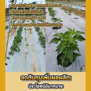 พลาสติกคลุมดิน 1.5ม.x400หลา(360ม) พลาสติกคลุมแปลง ผ้ายางคลุมดิน ผ้ายางคลุมวัชพืช กันวัชพืช ปลูกผัก