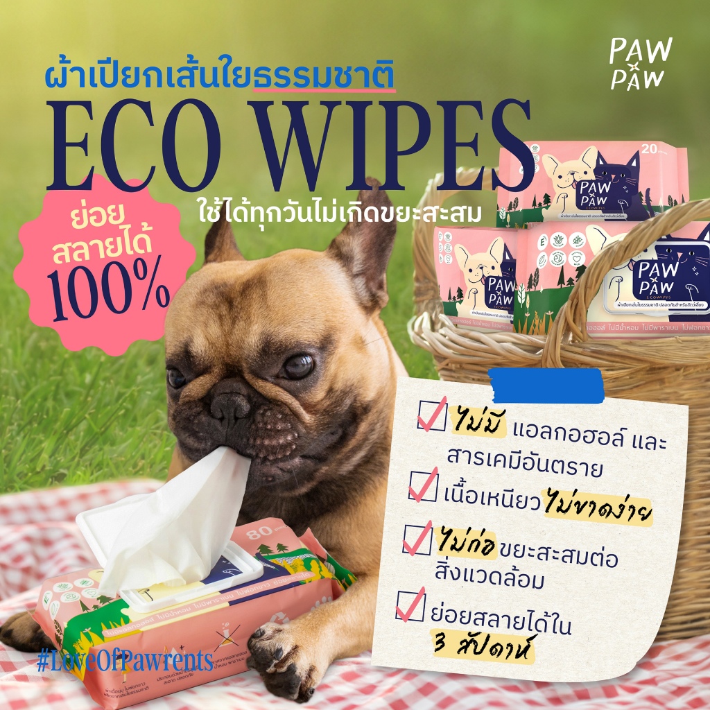 [3แพคใหญ่] พอว์พอว์ ผ้าเปียกสัตว์เลี้ยง เส้นใยธรรมชาติ อ่อนโยน สุนัข แมว (80 แผ่น) PAWxPAW ผ้าเปียกพอว์พอว์ - รูปที่ 3