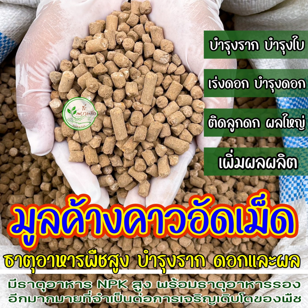 มูลค้างคาวอัดเม็ดอย่างดี ธาตุอาหารสูง 1 กิโล ขี้ค้างคาวอัดเม็ด เร่งดอกแตกตาผลดก ปุ๋ยคอก ปุ๋ยอินทรี ปุ๋ยหมัก ปุ๋ยอัดเม็ด