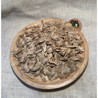 เมล็ดเมเปิ้ล ขนาด10กรัม อาหารนก กระรอก แฮมเตอร์ ชินชิล่า สำหรับสัตว์เลี้ยง