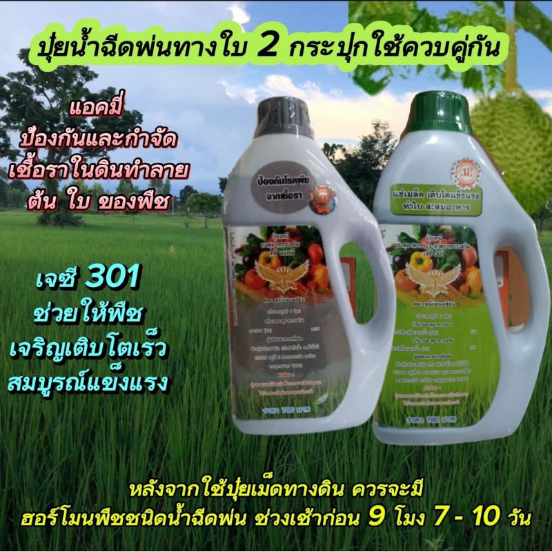 2 กระปุกขนาด 1 ลิตร เจซี 301 สารเร่งใบเร่งโต + แอคมี่ ป้องกันและกำจัดเชื้อรา ใช้ควบคู่