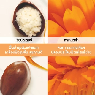 อีฟ โรเช Yves Rocher REPAIR ORGANIC SHEA BUTTER & CALENDULA SHOWER OIL 200ML - ออยล์ทำความสะอาดผิว บำรุงผิวเนียนนุ่มชุ่ม