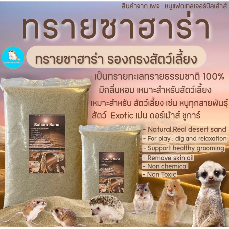 ทรายซาฮาร่า ทรายรองกรงหนู ทรายอาบน้ำหนู ของแท้100% ใช้แล้วขนสวยมาก - Sahara Sand / ทรายแฟตเทล / ทรายแฮมเตอร์ /