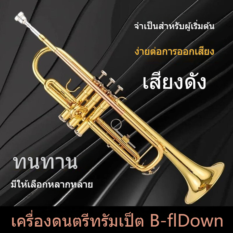 🦈ammoon ทรัมเป็ต Bb🦈 ทองเหลืองชุบทอง เพ้นท์สีทอง ทนทาน พร้อมสายคล้องปากเป่า มีความสวยหรู และทนทาน