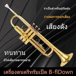 🦈ammoon ทรัมเป็ต Bb🦈 ทองเหลืองชุบทอง เพ้นท์สีทอง ทนทาน พร้อมสายคล้องปากเป่า มีความสวยหรู และทนทาน