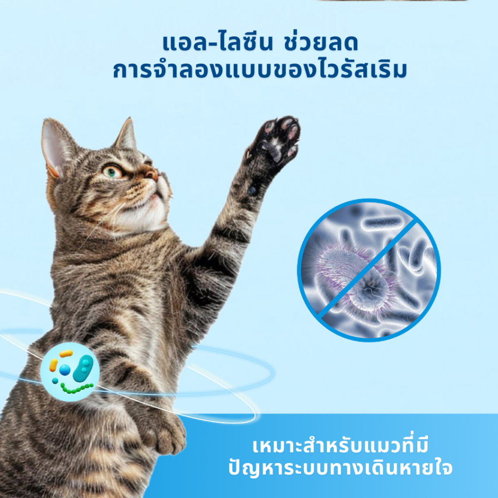 MRVET T4 อาหารเม็ดแมว combo 5 กก. - ลดกลิ่นเหม็น สำหรับแมวในบ้าน - รูปที่ 5