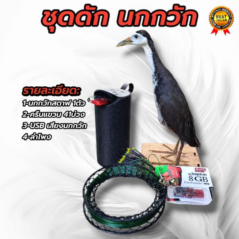 อุปกรณ์ดักนกกวัก ชุดดักนกกวัก (ครบชุดพร้อมใช้งาน)