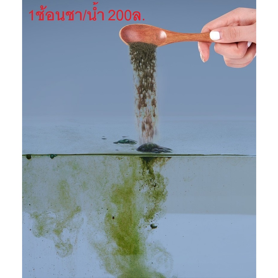 หัวเชื้อเลี้ยงตะไคร่กรีนวอร์ green wall Yee ของเเท้ เเหล่งรวมอาหารเสริม เลี้ยงง่าย โตไว Goldfish Green algae Carpet ราคา ถูกที่สุด ดีลบีเคเค แกลเลอรีภาพที่ 7
