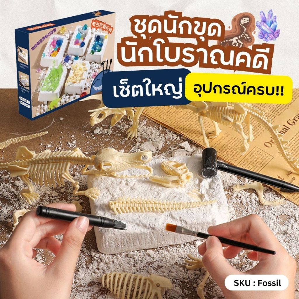 ชุดขุดซากฟอสซิล Fossil นักโบราณคดี อัญมณี ซากไดโนเสาร์ นักสำรวจ Excavation ขุดสมบัติโบราณ เซ็ตใหญ่ อุปกรณ์ครบ