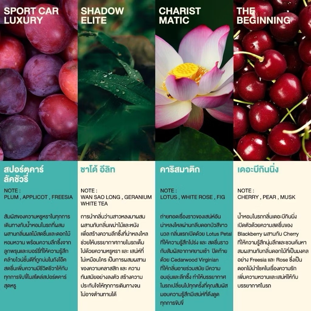 รูปภาพ 2