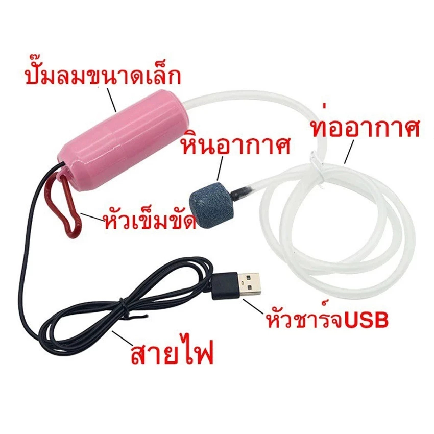10W แผงโซลาร์เซลล์ พลังงานแสงอาทิตย์ USB ปั๊มออกซิเจนหลอดคู่ปั๊มลมแบบพกพากลางแจ้งตกปลาอาหารทะเลออกซิเจน - รูปที่ 3