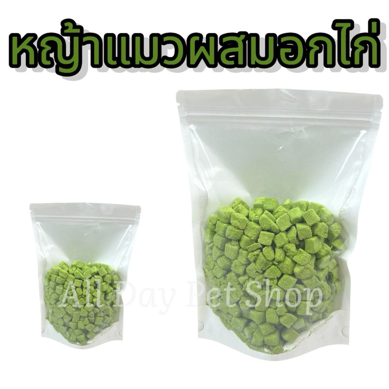 หญ้าแมว ขนาด100กรัม 200กรัม 500กรัม ฟรีซดรายแมว ขนมแมว ขนมสุนัข ขนมหมา Freeze Dried 100% ราคาสุดคุ้ม เกรดคนทานได้