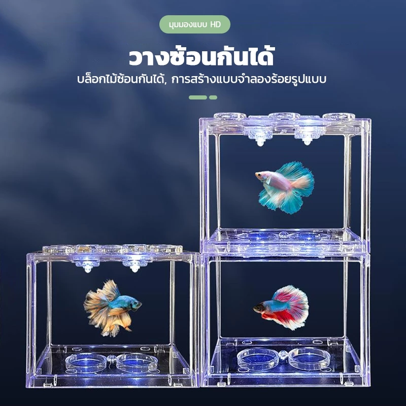 ตู้ปลากัด โหลปลากัด ABS แข็งแรง พร้อมฝาปิด หลายขนาด thumbnail 5