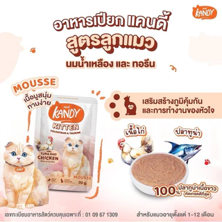(แบบโหล)Kandy Cat Pouch in Jelly ❤️😺 แคนดี้ อาหารเปียกสำหรับแมวในเยลลี่บรรจุ 70g*12