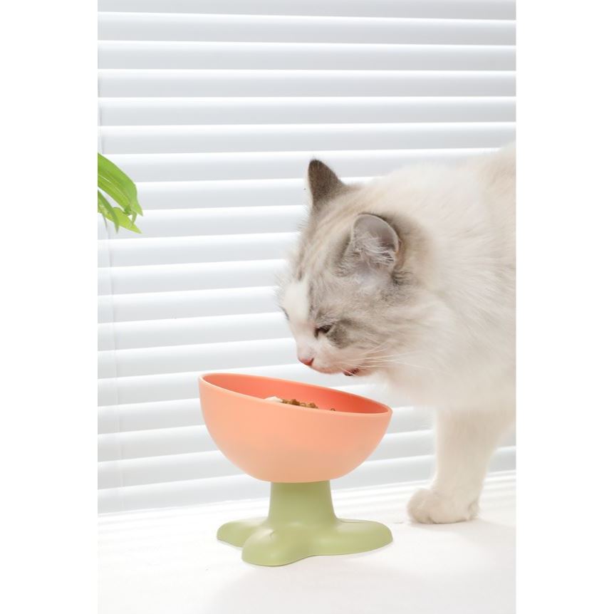 [ ABC cat ] ชามอาหารสัตว์เลี้ยง ชามพลาสติก แบบ1หลุม สำหรับหมาแมว BW024