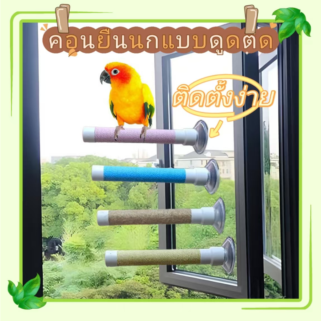 คอนยืนนก คอนยืนนกแก้ว คอนยืนแบบดูดติด ของเล่นนก สามารถติดตั้งบนกระจกหรือกระเบื้องได้ ติดตั้งง่าย