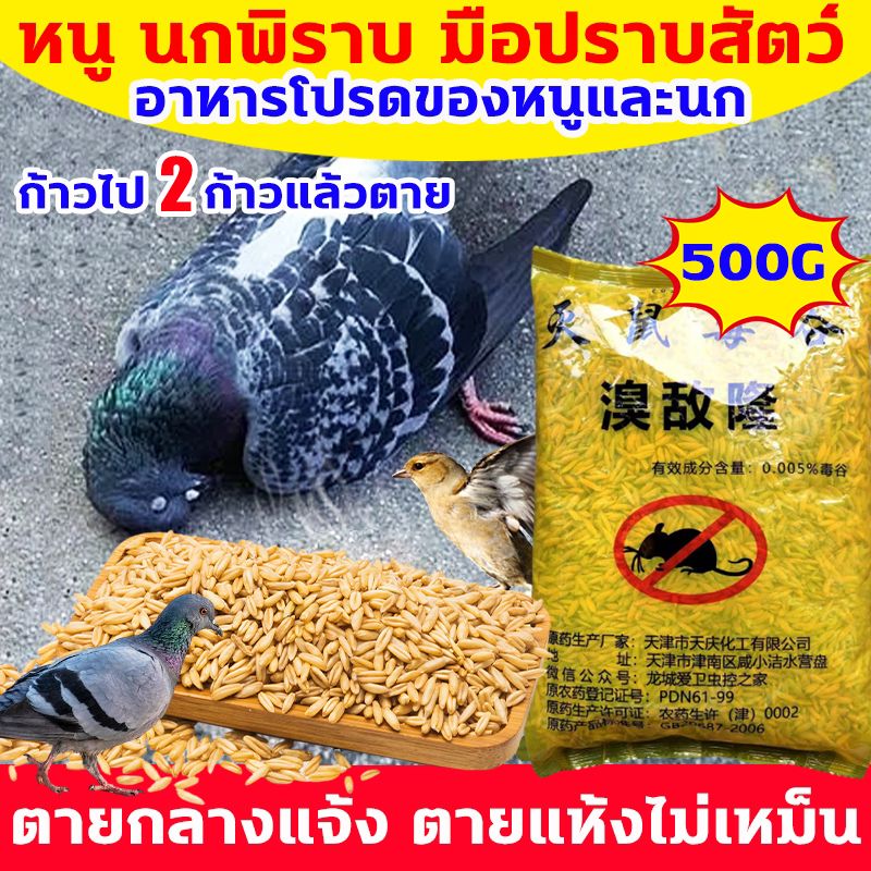 200% ได้ผล ยาเบื่อ นกพิราบ ยากำจัดนกพิราบ ยาเบื่อนก ไล่นก ก้อนไล่นก กำจัดนก เหยื่อกำจัดนกพิราบ เบื่อนกพิราบ ยาฆ่านกพิรา