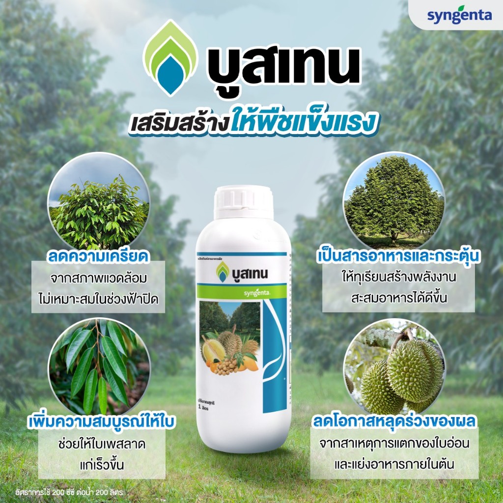 บูสเทน ขนาด 1ลิตร ช่วยบำรุงต้น บำรุงใบ ให้ใบแก่เร็ว ต้นแข็งแรง ฉีดได้ทั้งทุเรียน สับปะรด พืชสวนอื่นๆ ราคา ถูกที่สุด ดีลบีเคเค แกลเลอรีภาพที่ 2
