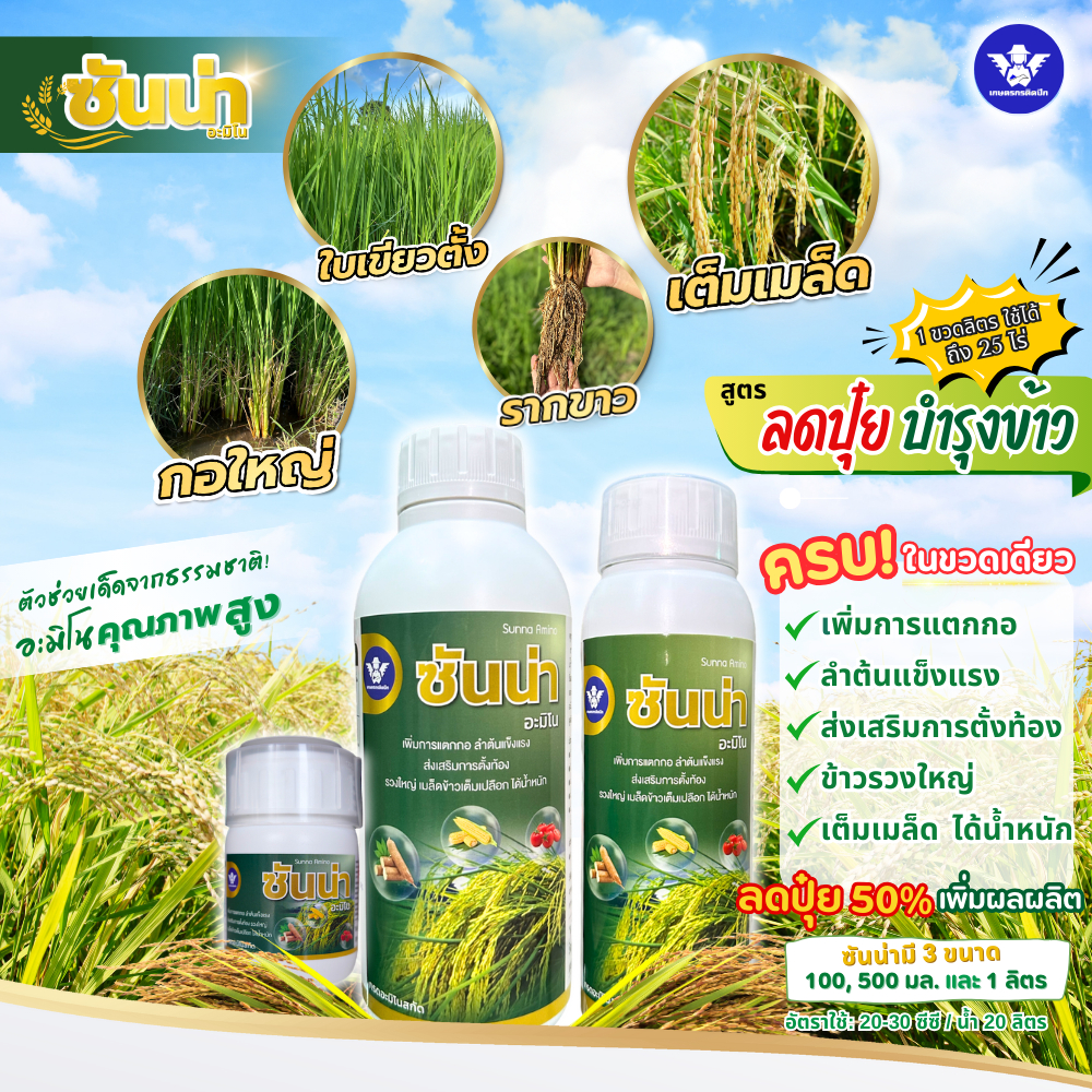 ซันน่า อะมิโน หัวเชื้อเข้มข้น-สูตรลดปุ๋ย | เพิ่มการแตกกอ บำรุงข้าวตั้งท้อง รวงใหญ่ ได้น้ำหนัก