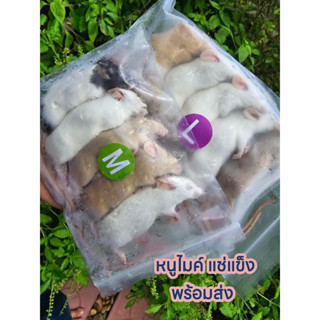 หนูไมค์แช่แข็ง อาหารสัตว์แช่แข็ง 1แพ็ค5ตัว