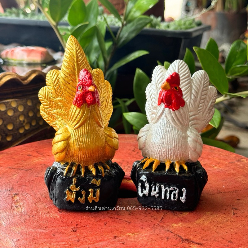 ไก่แจ้ เงินทอง ไก่แจ้มงคล(มั่งมี เงินทอง)ราคาต่อคู่ รูปที่ 4