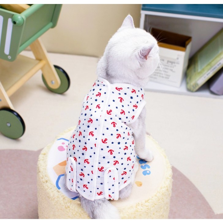 รูปภาพ 6