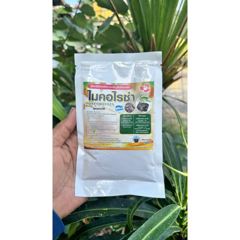 mycorrhiza ไมคอร์ไรซา 200 กรัม