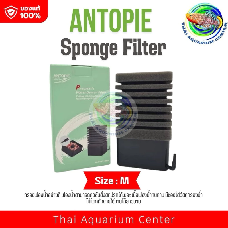 ANTOPIE Sponge Filter กรองฟองน้ำอย่างดี ฟองน้ำช่วยดูดซับสิ่งสกปรก เนื้อฟองน้ำทนทาน มีช่องใส่วัสดุกรองด้านล่าง thumbnail 5