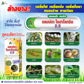 แลมป์ดา ไซฮาโลทริน สูตรเย็น ออกฤทธิ์เร็ว กำจัดหนอน หนอนเจาะต้น แมลงหวี่ขาว เพลี้ย เอเจนต้า คอร์ป ขนาด 1 ลิตร