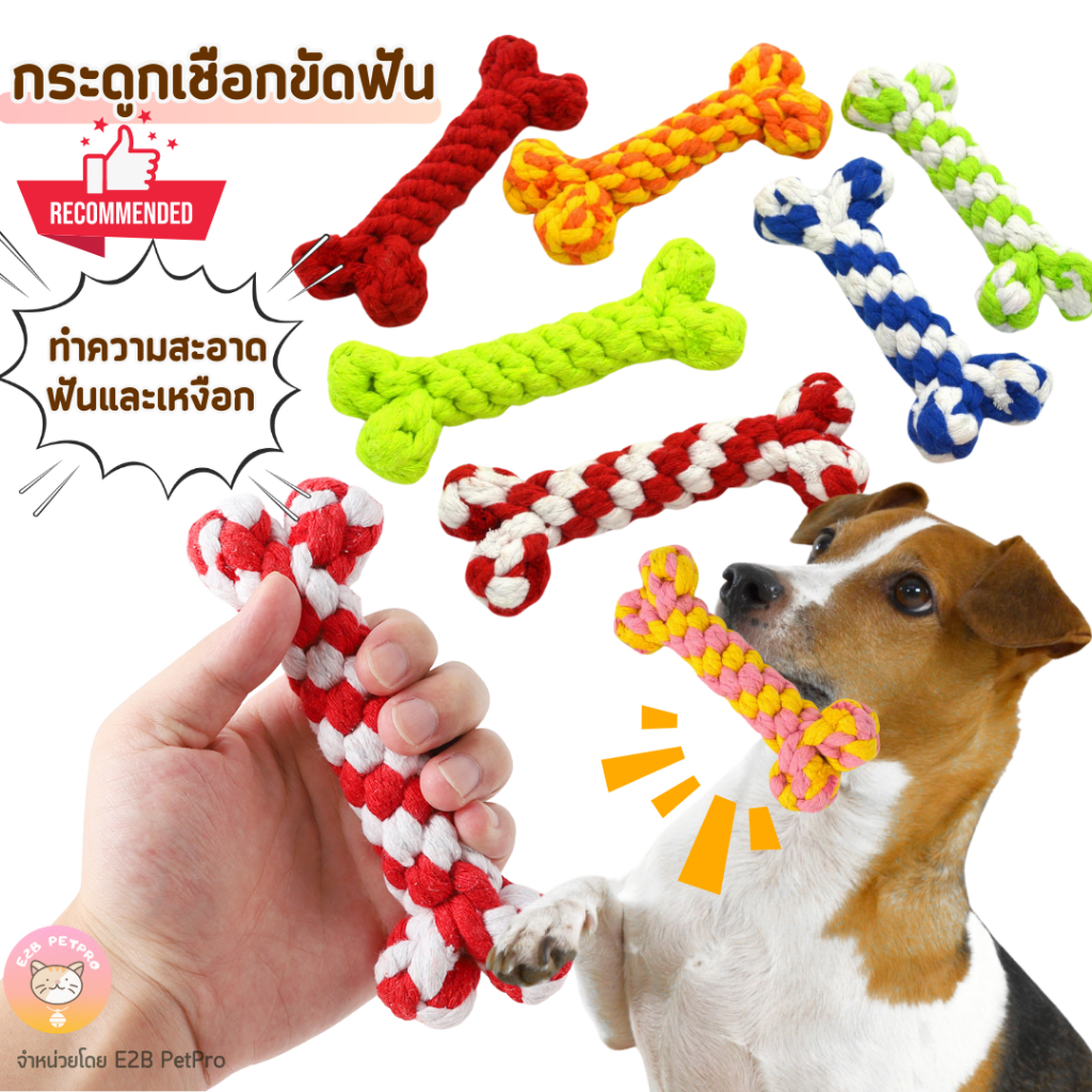 ของเล่นสุนัข กระดูกเชือกขัดฟันสำหรับสุนัข ของเล่นคละสี ช่วยทำความสะอาดฟันและเหงือก B064