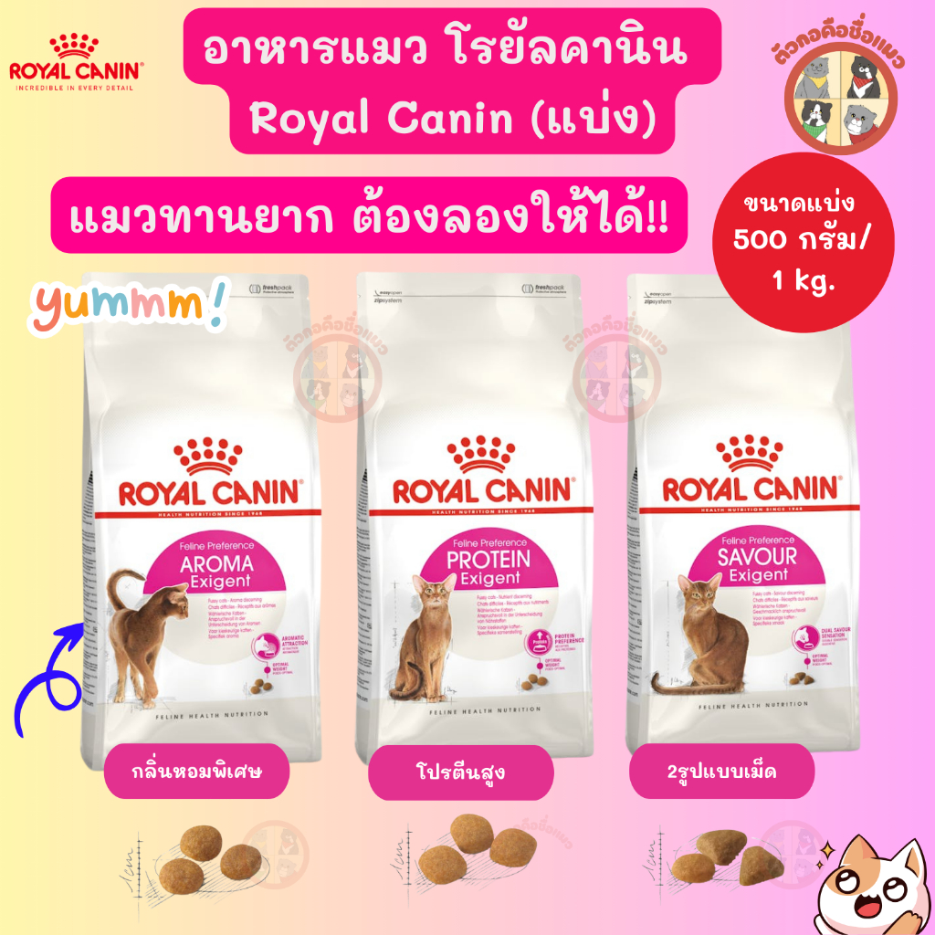 [แบ่งขาย] (ของแท้) อาหารแมวทานยาก  Royal canin Exigent อาหารแมวรอยัล คานิน สูตรแมวกินยาก กลิ่นหอม โปรตีนสูง และ 2รูปแบบเ