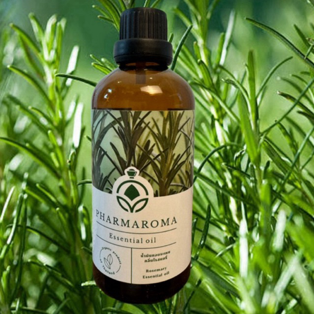 Rosemary Essential oil น้ำมันหอมระเหย กลิ่นโรสแมรี่ กลิ่นแท้ ช่วยผ่อนคลาย ฟอกอากาศ ปรับสมดุล