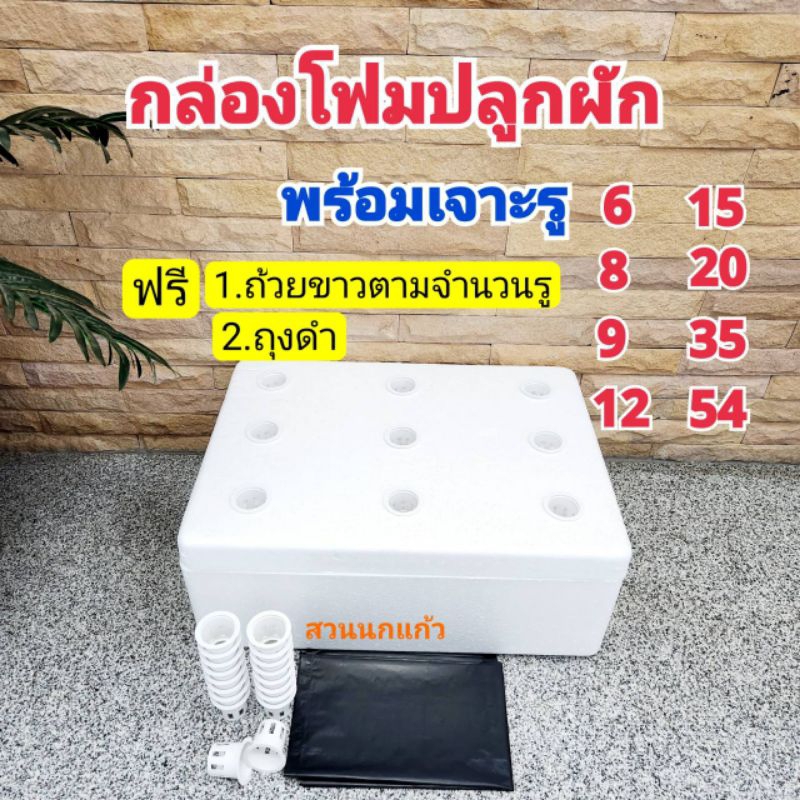 กล่องโฟมปลูกผัก ลังโฟม ปลูกผักไฮโดรโปนิกส์ ขนาด 10กก. พร้อมเจาะรูแถมถุงดำและถ้วยขาวเกรดA